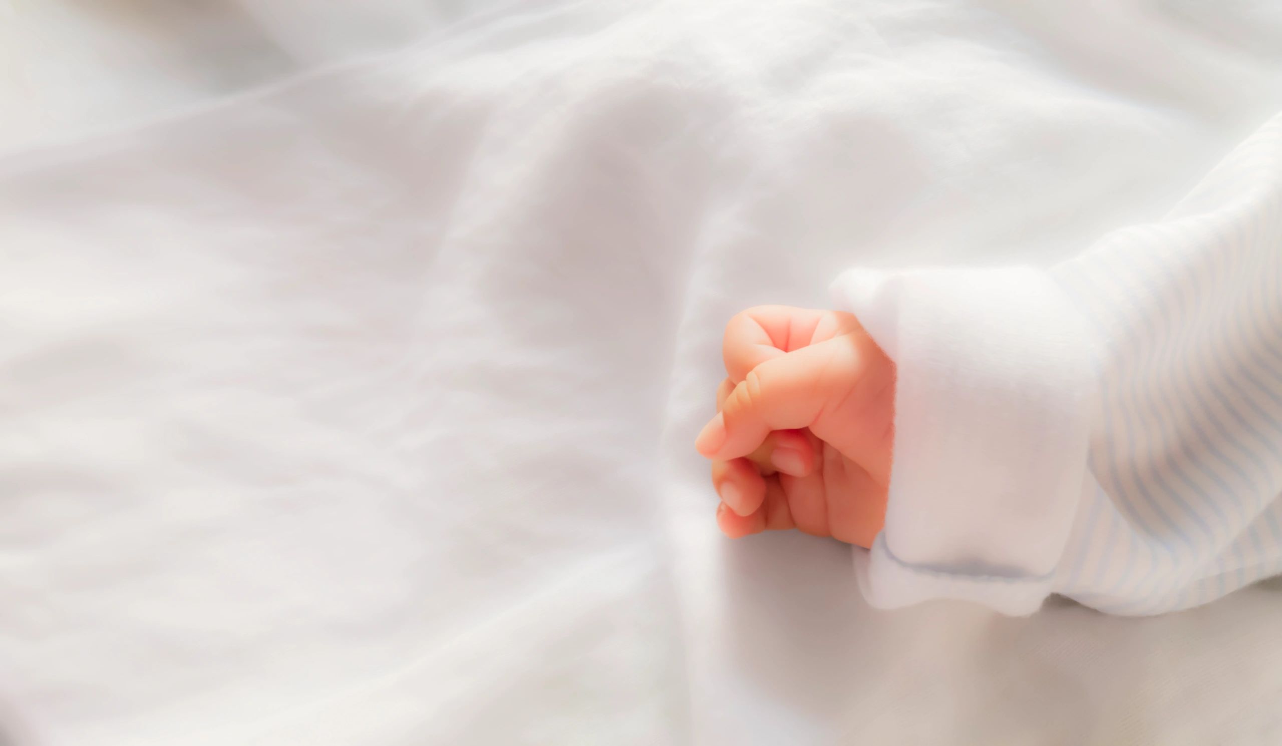 Close-up of a newborn baby's hand on soft white fabric